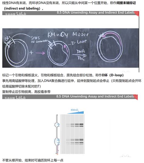 延年天醫|【延年天醫】延年天醫：數字能量學與易經數字DNA解。